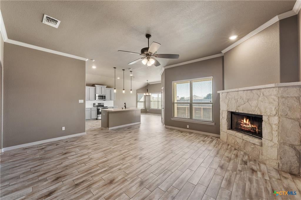 Fireplace in Carriage House Trails home Temple TX